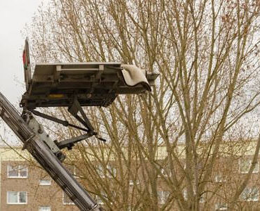 Möbellift in Heidenheim Möbellift in Heidenheim: Möbellift zwischen kahlen Bäumen vor einem Gebäude