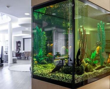 Aquarium-Umzug Heidenheim Aquarium-Umzug Heidenheim: Großes Aquarium in einem modernen Wohnzimmer
