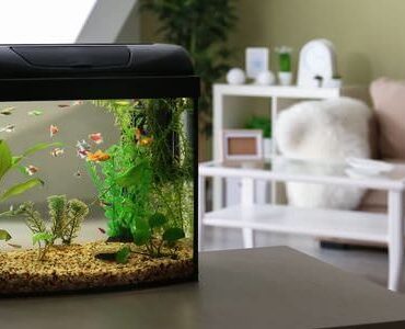 Aquarium auf dem Sideboard Kleines Aquarium auf einem Sideboard